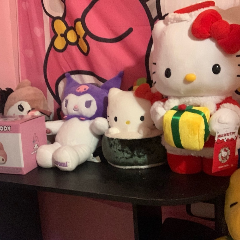 Hello kitty greeter, Sanrio funko pops, plushies and more!